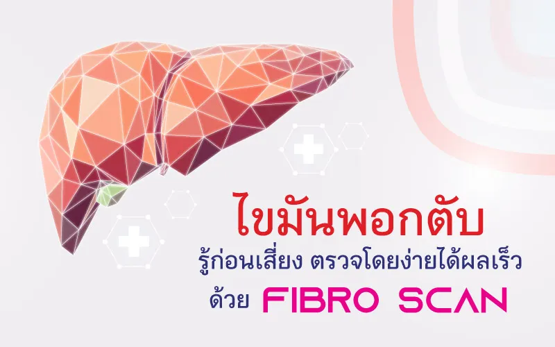 Fibro Content 2024 Resize 800x500 Px Card